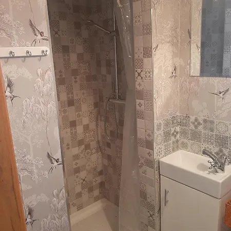 Willow F91x0c8 Apartment