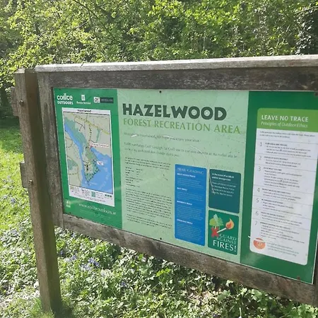 Willow F91x0c8 Sligo