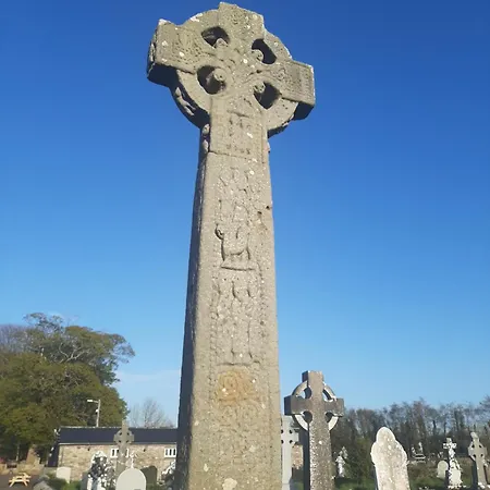 Willow F91x0c8 * Sligo