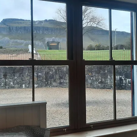 Willow F91x0c8 Sligo