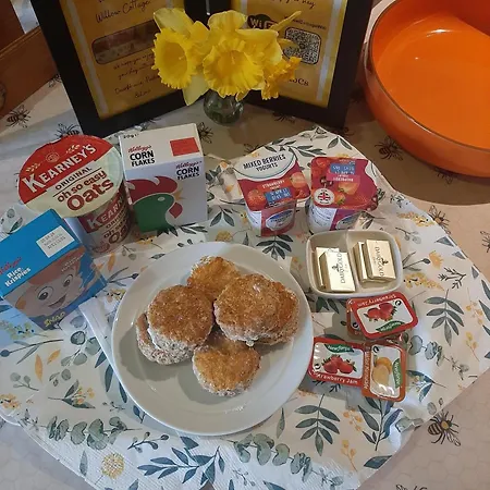 Willow F91x0c8 * Sligo