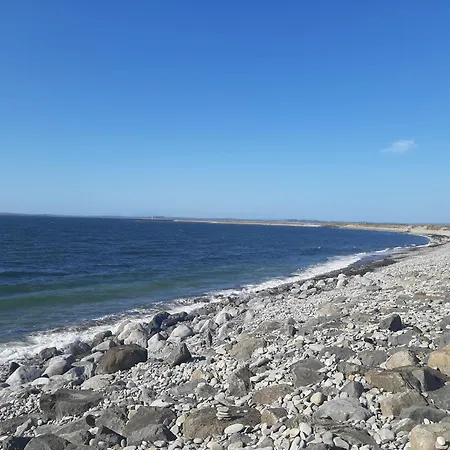 Willow F91x0c8 * Sligo