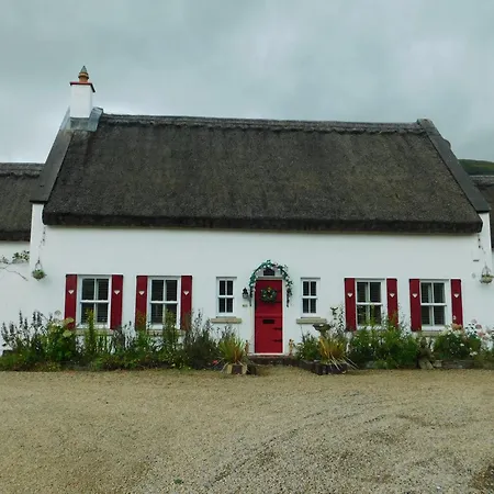 Willow F91x0c8 * Sligo