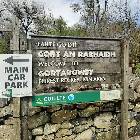 Willow F91x0c8 Apartment