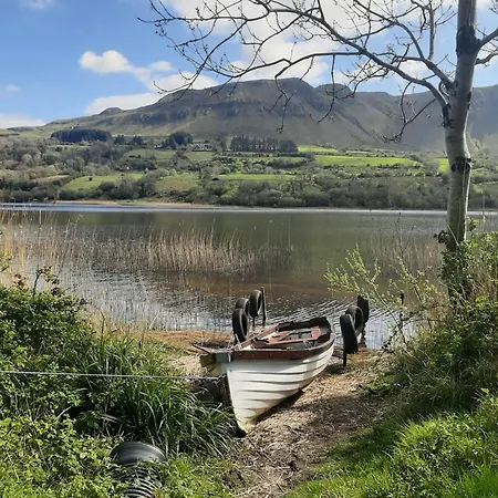 Willow F91x0c8 * Sligo