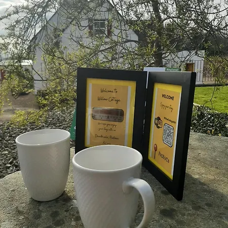 Apartment Willow F91x0c8 *