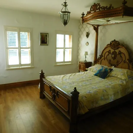 Willow F91x0c8 * Sligo