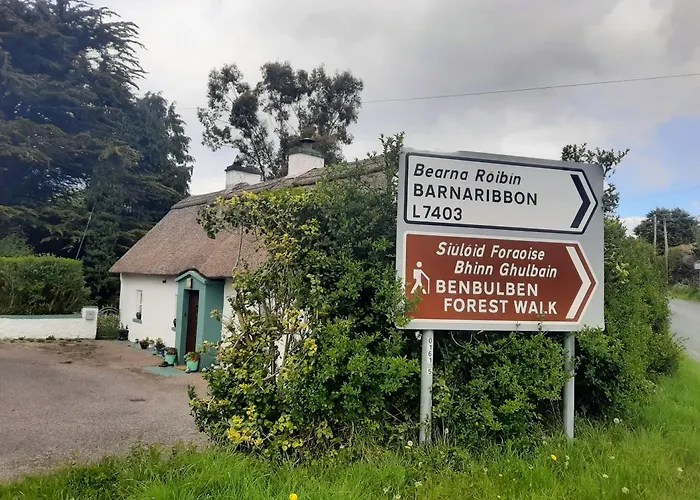 Willow F91x0c8 Apartment Sligo